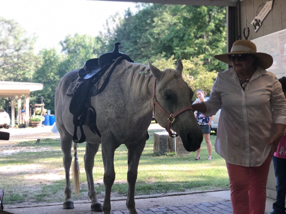 Pinchona Farm - equestrian in Hope Hull, AL