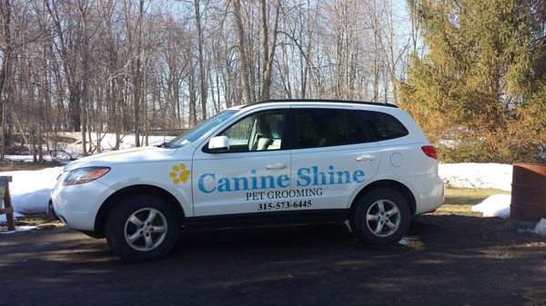 Canine Shine