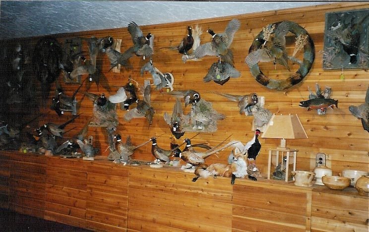 Bourbon & Buck Taxidermy - taxidermy in Louisville, KY