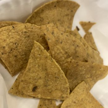 Taco Gato - Tacos Near Me - Hudson, Massachusetts Taco Gato - Tacos Near Me - Hudson, Massachusetts