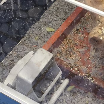 Premier Pet Supply - Filthy cage....water is disgusting! - Pet Stores Near Me - Shelby Township, Michigan Premier Pet Supply - Filthy cage....water is disgusting! - Pet Stores Near Me - Shelby Township, Michigan