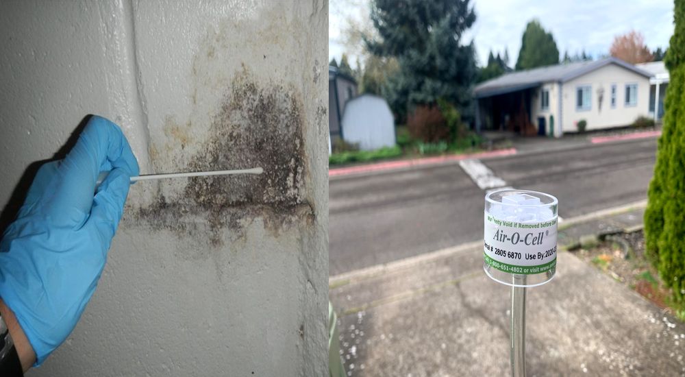 Pure Maintenance Portland - mold inspector in Portland, OR