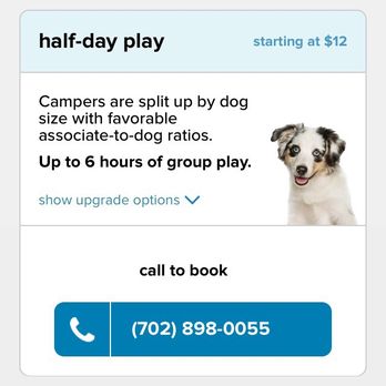 PetSmart - Pet Stores Near Me - Scottsdale, Arizona PetSmart - Pet Stores Near Me - Scottsdale, Arizona