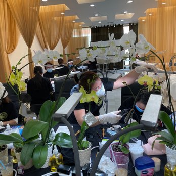 Advance Training Microblading - Cosmetology Schools Near Me - Westminster, California Advance Training Microblading - Cosmetology Schools Near Me - Westminster, California