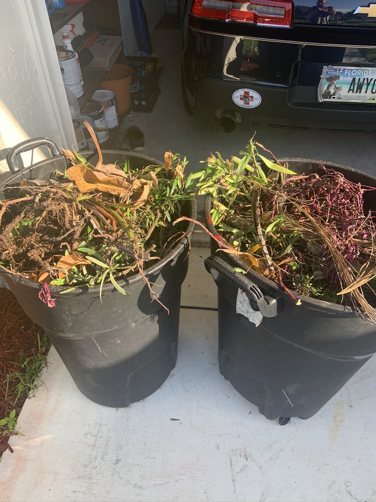 Slide of Sailfish Softwash