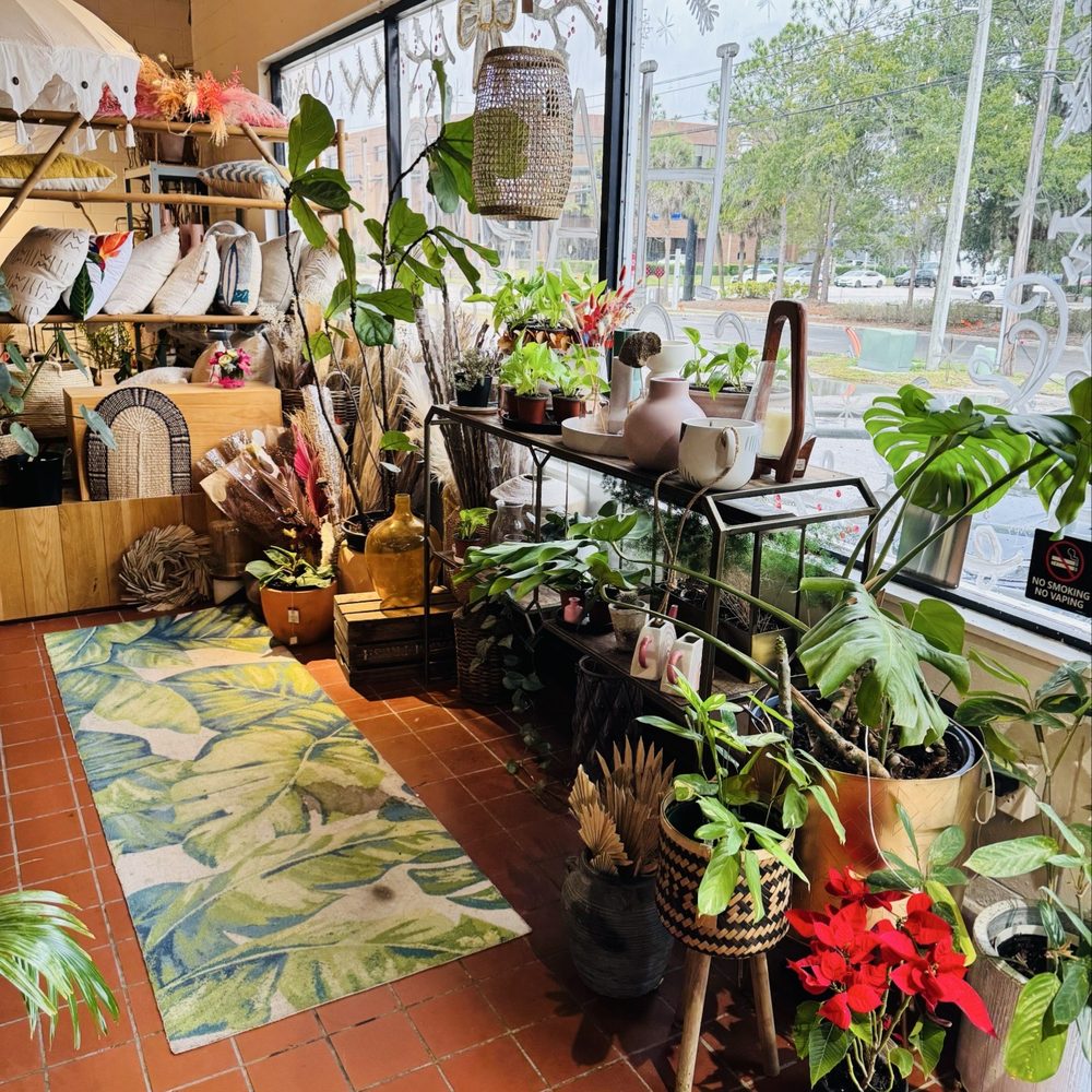 Black Phin - Coffee & Tea Near Me - Winter Park, Florida Black Phin - Coffee & Tea Near Me - Winter Park, Florida