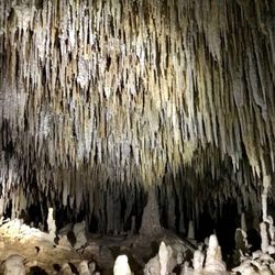 Secret Footsteps - Selva de Estalactitas