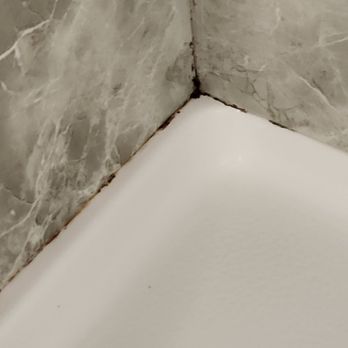 ParkShore Resort - More mold in shower. Why is this not taken care of? - Resorts Near Me - Traverse City, Michigan