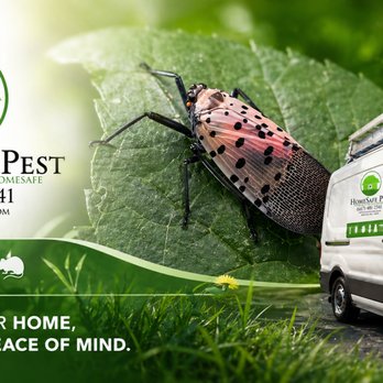 HomeSafe Pest - Pest Control Near Me HomeSafe Pest - Pest Control Near Me