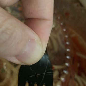 Original Mona Lisa - The light colored hair that I found in my food. - Italian Near Me - Redlands, California
