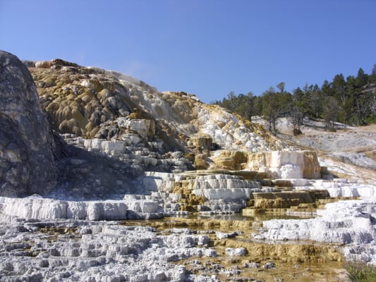 Mammoth Hot Springs by null