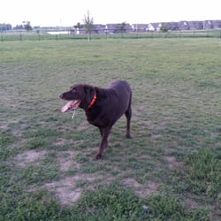 Shepard Park, Dog Park