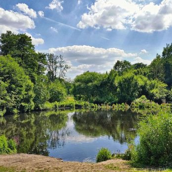Jenischpark - Wasserfläche im Park (08/2018) - Parks Near Me - Hamburg, HH Jenischpark - Wasserfläche im Park (08/2018) - Parks Near Me - Hamburg, HH