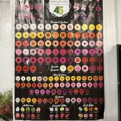 Florida Wholesale Florist