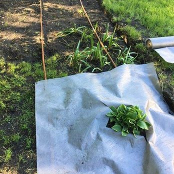Soriano Landscaping and Construction - Flower bed, sprinkler and mulch - Tree Services Near Me Soriano Landscaping and Construction - Flower bed, sprinkler and mulch - Tree Services Near Me