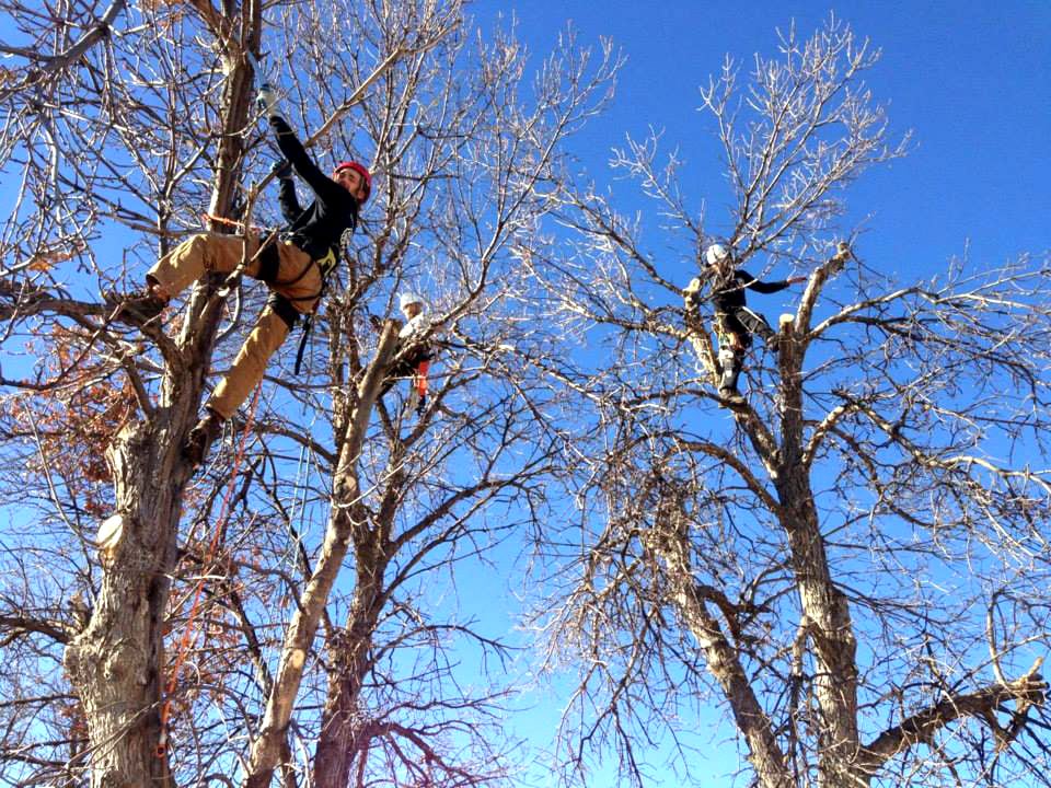 DHARMA TREE CARE Spearfish, SD Yelp