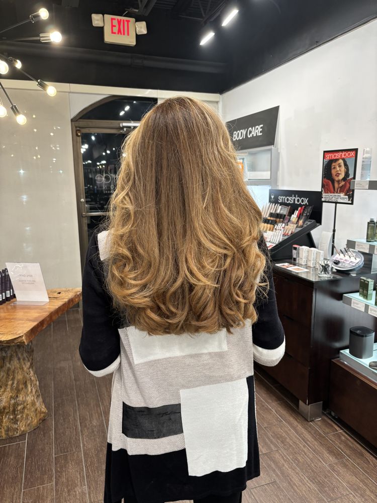 Source Salon Image