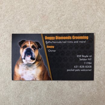 Doggy Diamonds - Pet Groomers Near Me - Port Jefferson Station, New York Doggy Diamonds - Pet Groomers Near Me - Port Jefferson Station, New York