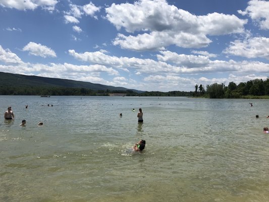Bald Eagle State Park by null