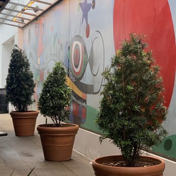 La Griglia - Miro mural - Italian Near Me - Houston, Texas