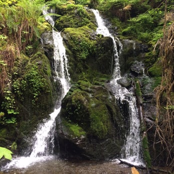 Quinault Rain Forest - One of the many waterfalls.... (I sort of climbed down the side of the cliff to see it from this view) - Parks Near Me - Amanda Park, Washington Quinault Rain Forest - One of the many waterfalls.... (I sort of climbed down the side of the cliff to see it from this view) - Parks Near Me - Amanda Park, Washington
