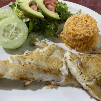 Mariscos La Palmita - Fresh sea bass - Seafood Near Me - Cabo San Lucas, BCS Mariscos La Palmita - Fresh sea bass - Seafood Near Me - Cabo San Lucas, BCS