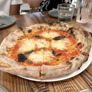 Pizzeria Salvy - South Philly Margherita (mozzarella, basil, tomato sauce) - Pizza Near Me - Philadelphia, Pennsylvania Pizzeria Salvy - South Philly Margherita (mozzarella, basil, tomato sauce) - Pizza Near Me - Philadelphia, Pennsylvania