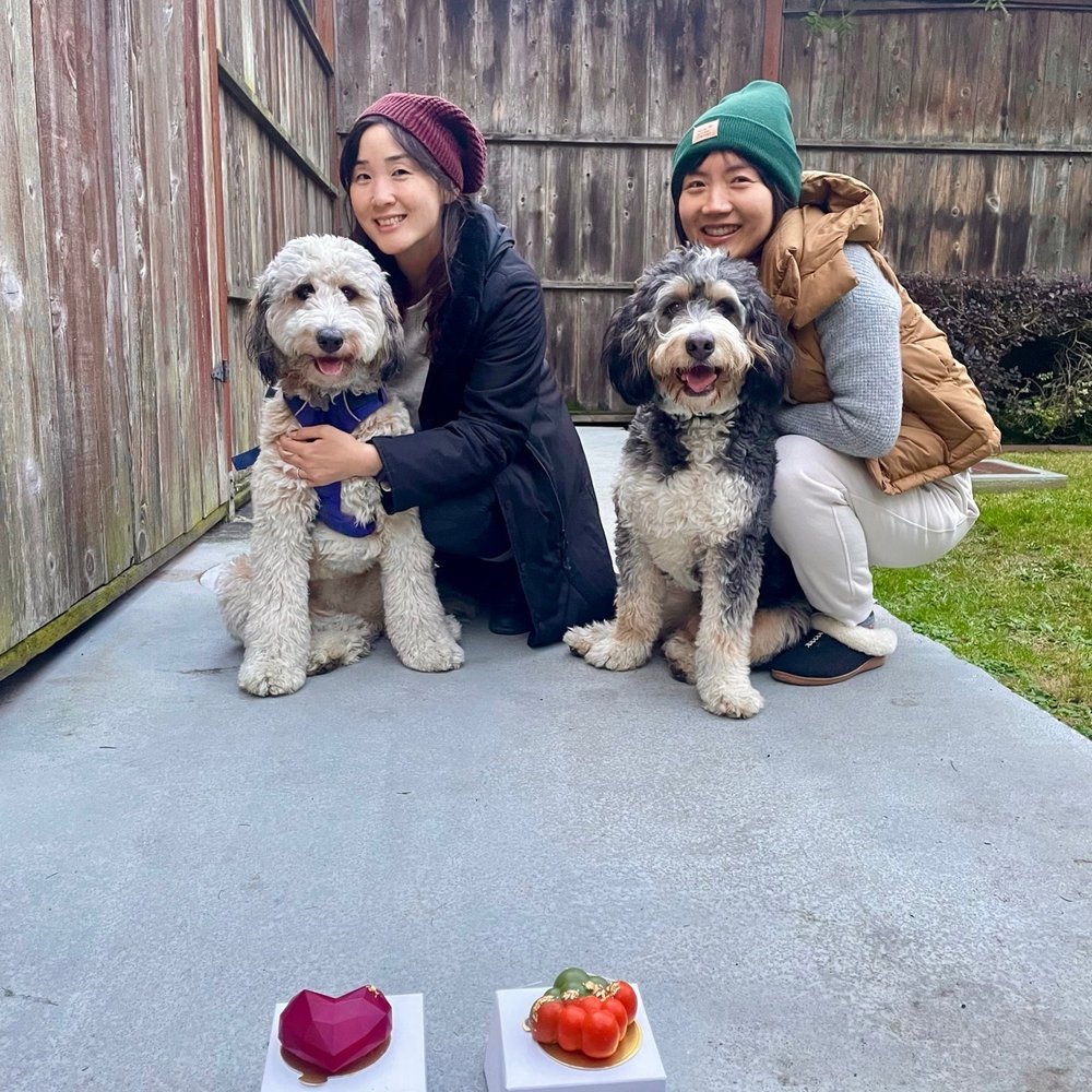 Mishka - Birthday treats-- chicken heart and chicken bubble! - Pet Stores Near Me - San Francisco, California Mishka - Birthday treats-- chicken heart and chicken bubble! - Pet Stores Near Me - San Francisco, California