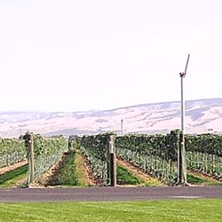 Basel Cellars Estate Winery - View from the tasting room patio