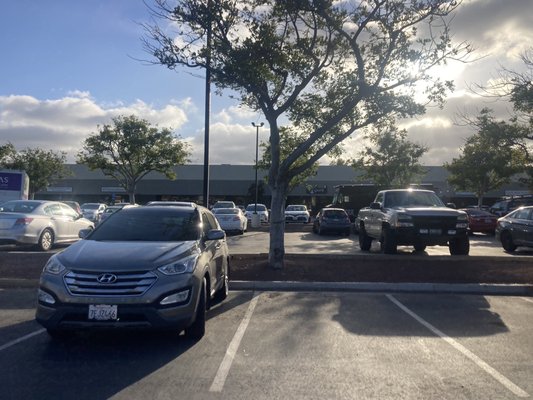 Kove Brewing by null