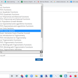 Apex Learning Virtual School - Here is the submission for those checkups that have no reviews. You can't submit it without choosing a graded assignment for it.