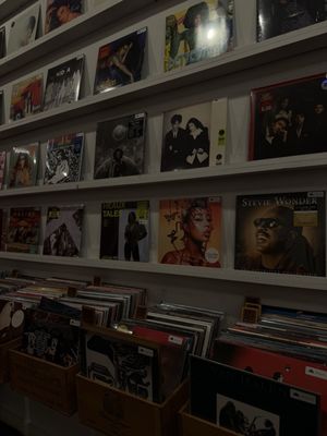 Spinster Records by null