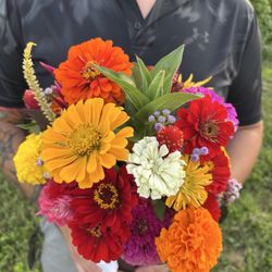 Triple B Farms