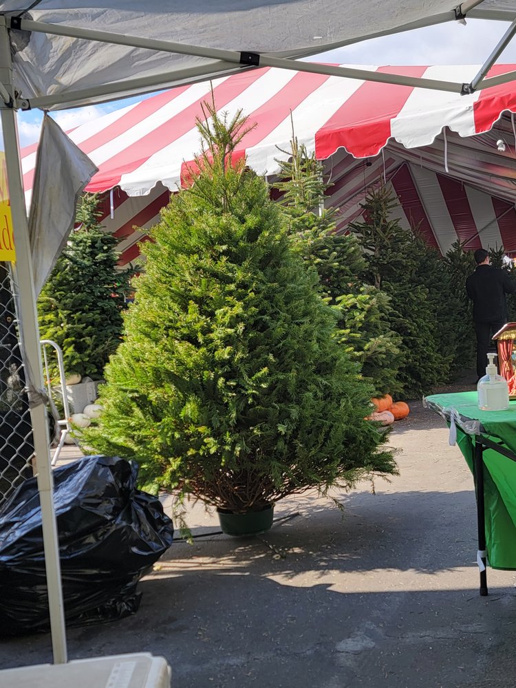 SAL’S PUMPKINS AND CHRISTMAS TREES 147 W Thousand Oaks Blvd, Thousand