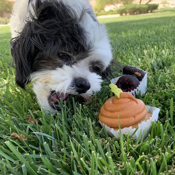 Three Dog Bakery - Pet Stores Near Me - Las Vegas, Nevada Three Dog Bakery - Pet Stores Near Me - Las Vegas, Nevada