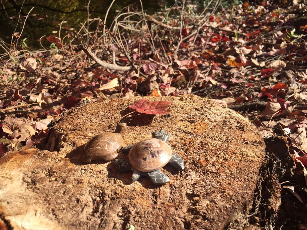 PROVIDENCE ZEN CENTER 17 Photos 99 Pound Rd, Cumberland, RI Yelp