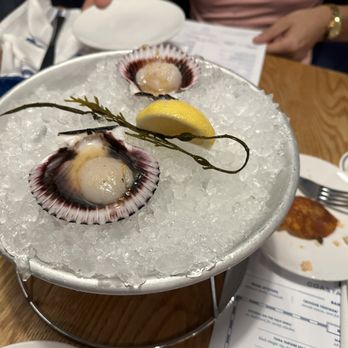 Salt Traders Zilker - Scallops on the half shell! My first time to eat these and they were phenomenal. - Seafood Near Me - Austin, Texas Salt Traders Zilker - Scallops on the half shell! My first time to eat these and they were phenomenal. - Seafood Near Me - Austin, Texas