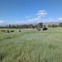 Photo of Holding Ranch