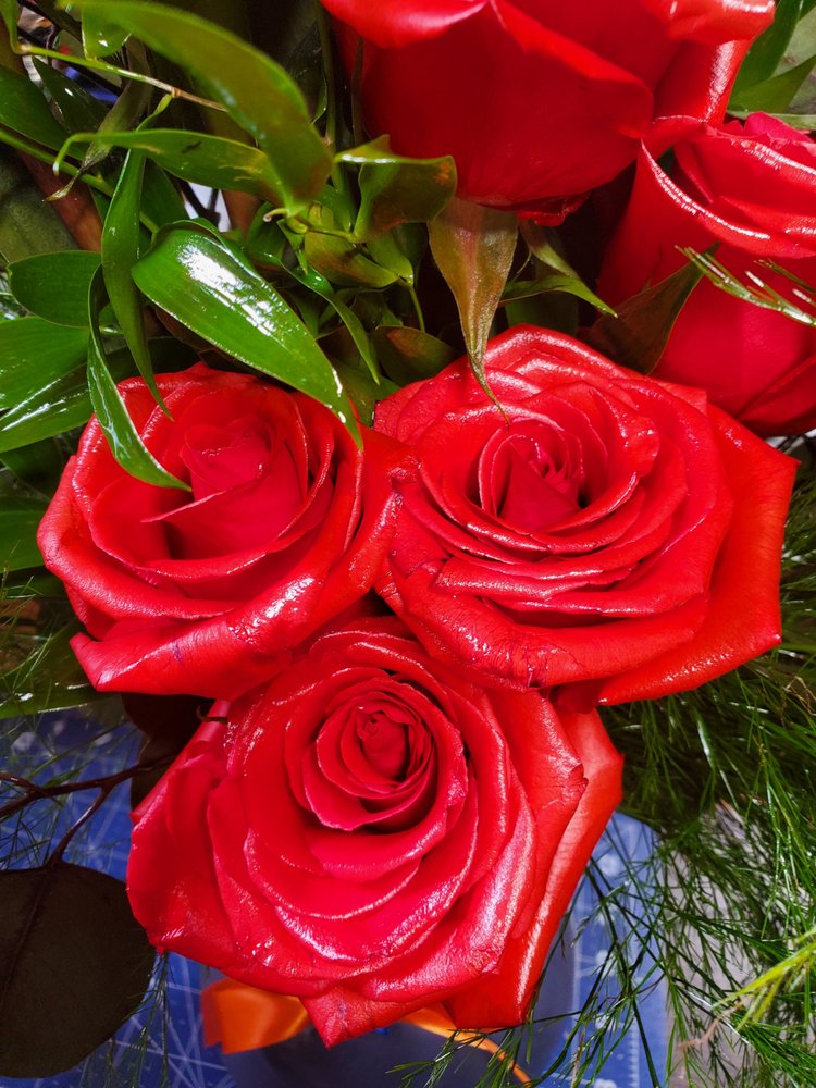 PETAL PUSHERS & MONUMENTS Updated September 2024 Request