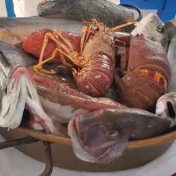 The fish of the day. The fish of the day.