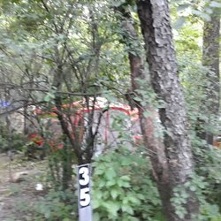 Country View Campground - Drug tents.