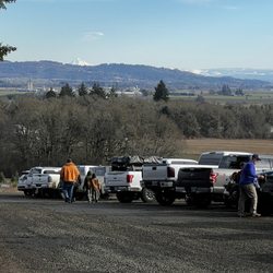Bigfoot Christmas Trees - Large parking area with a partial view of Mt Hood.