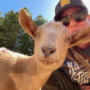 Rancho Compasion - Baby Goats! - Animal Shelters Near Me - Nicasio, California Rancho Compasion - Baby Goats! - Animal Shelters Near Me - Nicasio, California