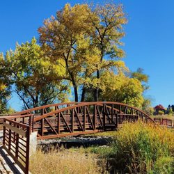 Bear Creek Trail - Along the trail