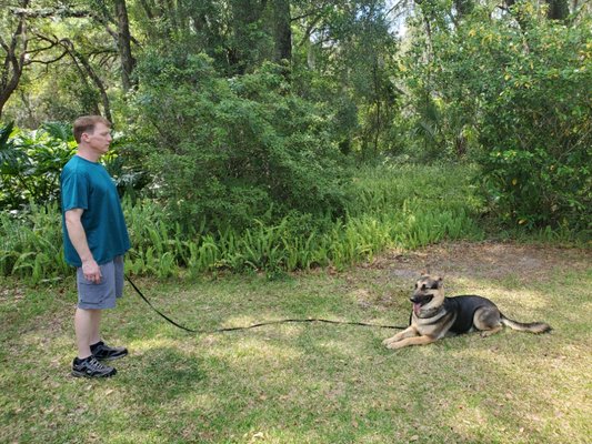 10 day Dog Obedience Day School - This course is 10 days and comes with an in-home Private Lesson at the end of the dog’s training. This is a Day School and the dog is picked up and dropped off by the owner each day. This course is great for dogs who don’t do well with boarding or for an owner who doesn’t want to be away from their dog overnight. 10 day Dog Obedience Day School - This course is 10 days and comes with an in-home Private Lesson at the end of the dog’s training. This is a Day School and the dog is picked up and dropped off by the owner each day. This course is great for dogs who don’t do well with boarding or for an owner who doesn’t want to be away from their dog overnight.