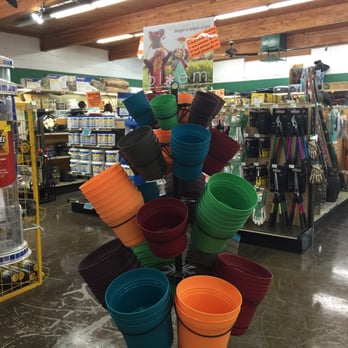 Zamzows - Nurseries & Gardening Near Me - Boise, Idaho