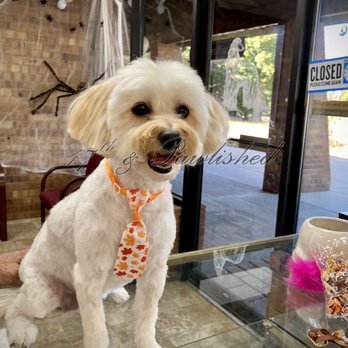 17th and Pawlished - Pet Groomers Near Me - Greeley, Colorado 17th and Pawlished - Pet Groomers Near Me - Greeley, Colorado