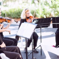 Seaside Strings - string quartet