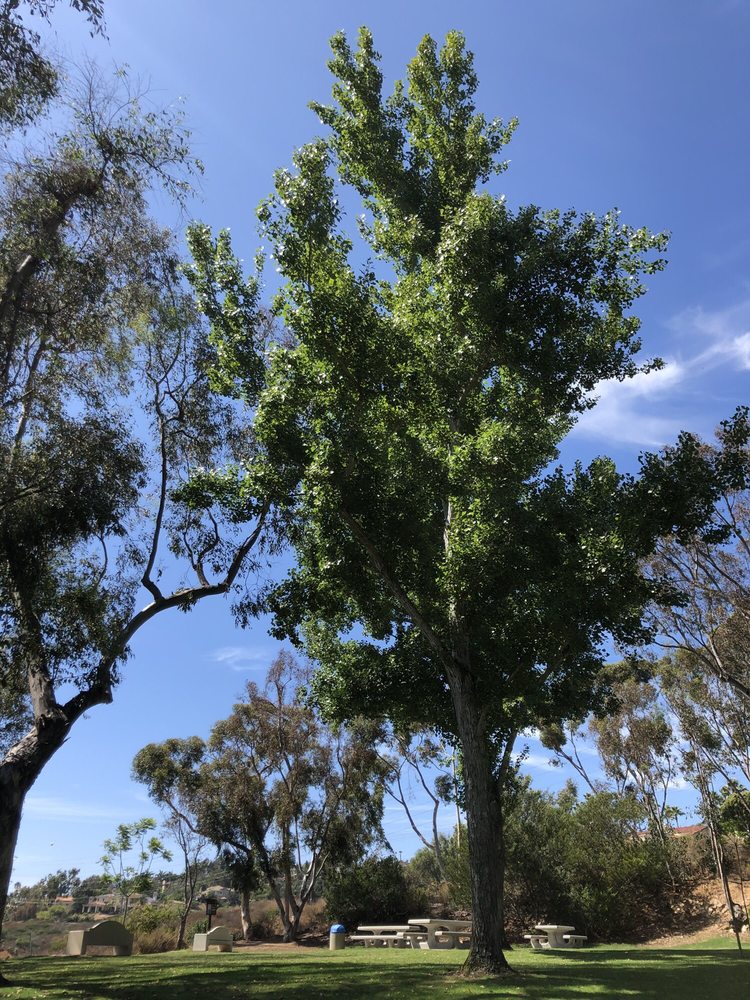 LA COSTA CANYON PARK - 22 Photos & 17 Reviews - Pueblo St & Rana Ct