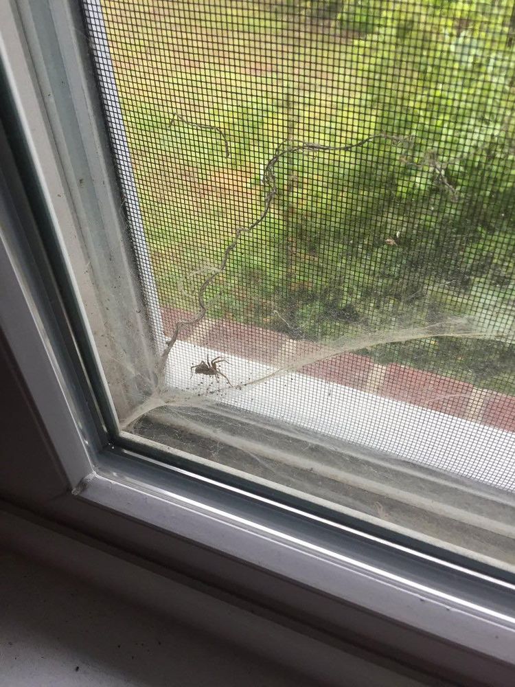 NOTTINGHAM PEST CONTROL Updated July 2024 18 Photos & 72 Reviews